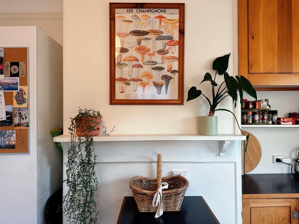 Furnished 3 Bedroom House in South Hobart